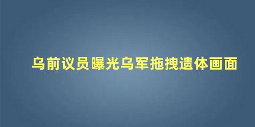 乌前议员曝光乌军拖拽遗体画面