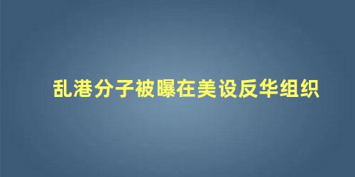 乱港分子被曝在美设反华组织