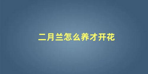 二月兰怎么养才开花 二月兰种植方法和注意事项