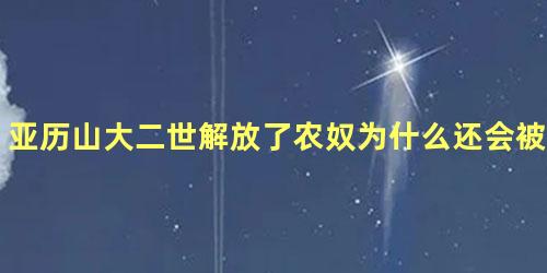 亚历山大二世解放了农奴为什么还会被民众暗杀