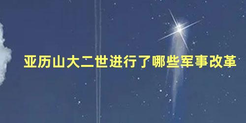 亚历山大二世进行了哪些军事改革