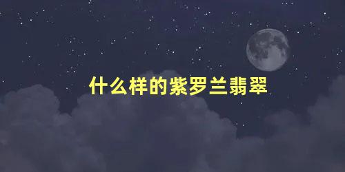 什么样的紫罗兰翡翠 紫罗兰有什么品质