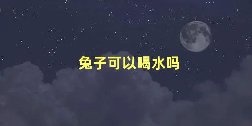 兔子可以喝水吗 养兔子需要注意什么