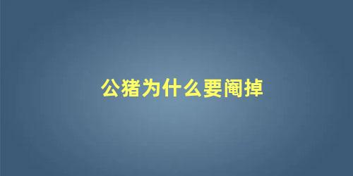 公猪为什么要阉掉 猪要阉了才没有骚味吗