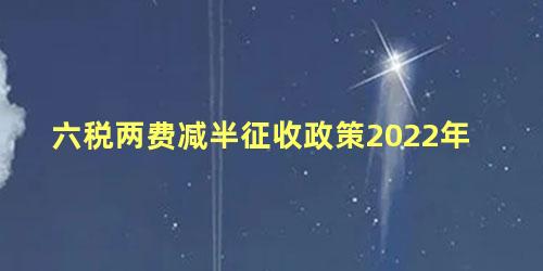 六税两费减半征收政策2022年 2022年附加税减半征收吗