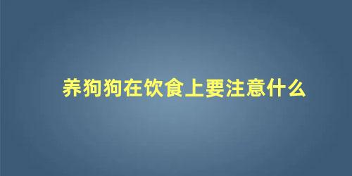 养狗狗在饮食上要注意什么 养狗狗需要注意