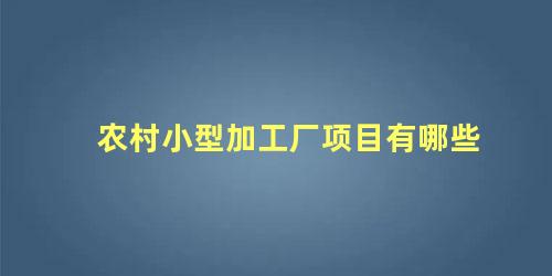 农村小型加工厂项目有哪些