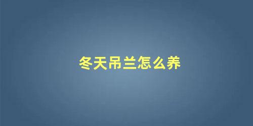 冬天吊兰怎么养 冬天怎么给吊兰施肥