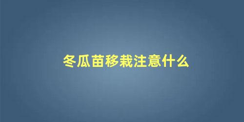 冬瓜苗移栽注意什么 冬瓜移栽后怎么样浇水