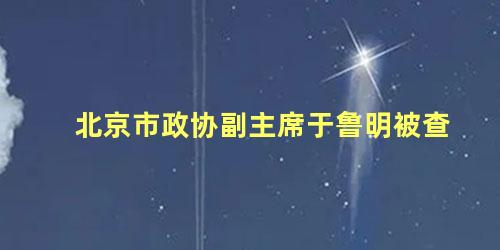 北京市政协副主席于鲁明被查，北京市政协经济