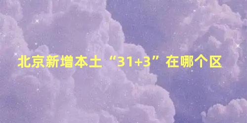 北京新增本土“31+3”在哪个区