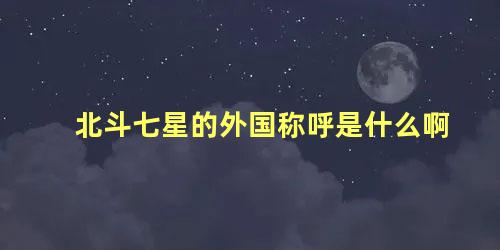 北斗七星的外国称呼是什么啊