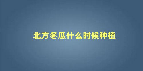 北方冬瓜什么时候种植 陆地冬瓜种植与管理技术