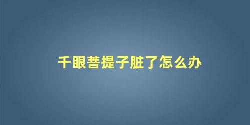 千眼菩提子脏了怎么办