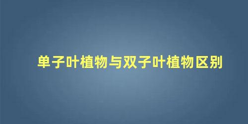 单子叶植物与双子叶植物区别 什么是单子叶和双子叶植物