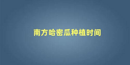 南方哈密瓜种植时间 广东种哈密瓜是几月