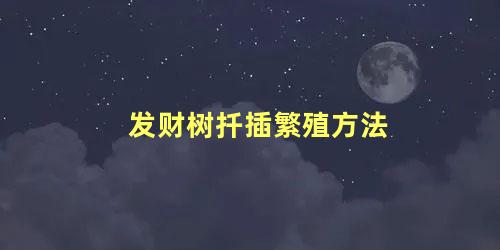 发财树扦插繁殖方法