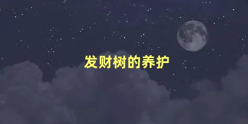 发财树的养护 室内发财树多久浇一次水