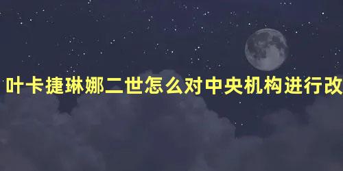 叶卡捷琳娜二世怎么对中央机构进行改革的