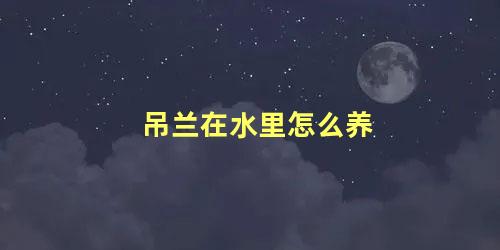 吊兰在水里怎么养 水培吊兰怎么施肥