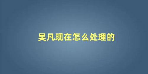 吴凡现在怎么处理的 上海吴凡为什么不被问