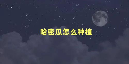 哈密瓜怎么种植 哈密瓜种植时间和方法