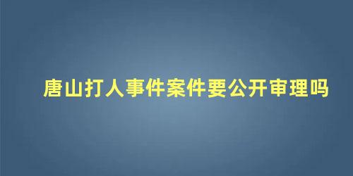 唐山打人事件案件要公开审理吗