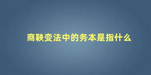 商鞅变法中的务本是指什么 什么叫商鞅变法