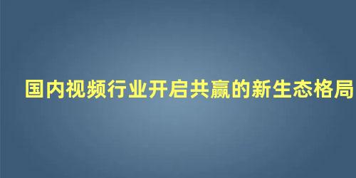 国内视频行业开启共赢的新生态格局