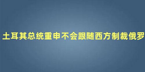 土耳其总统重申不会跟随西方制裁俄罗斯