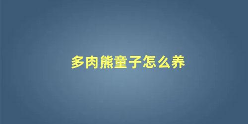 多肉熊童子怎么养 熊童子晒太阳需要晒几个小时