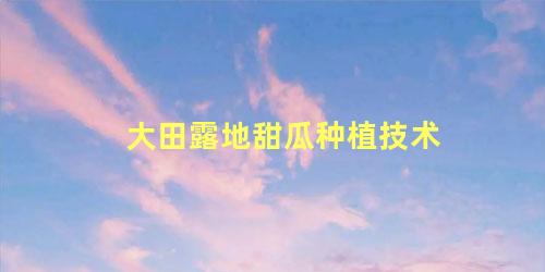 大田露地甜瓜种植技术 露地甜瓜地膜覆盖方法