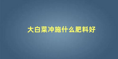 大白菜冲施什么肥料好 白菜追肥用什么肥料好