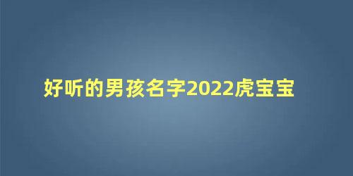 好听的男孩名字2022虎宝宝 虎宝宝取名大全2022款