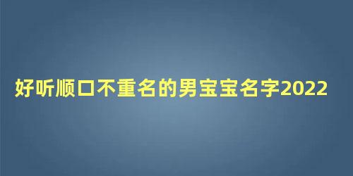 好听顺口不重名的男宝宝名字2022 宝宝名字