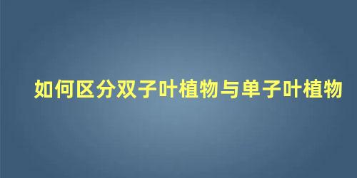 如何区分双子叶植物与单子叶植物 区分单子叶植物与双子叶植物