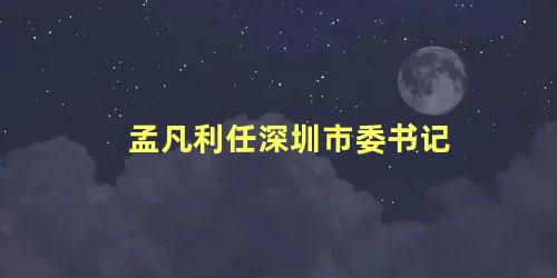 孟凡利任深圳市委书记，孟凡利任深圳书记