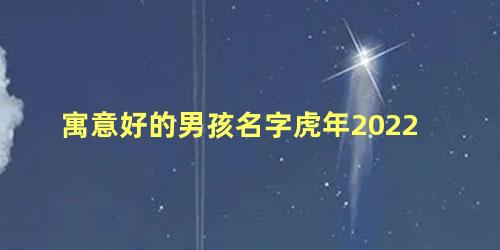 寓意好的男孩名字虎年2022 2022属虎男孩名字最佳用字