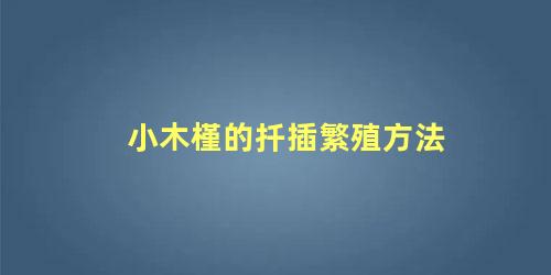 小木槿的扦插繁殖方法 木槿花水培多久能生根