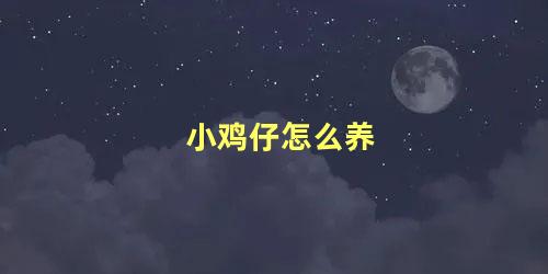 小鸡仔怎么养 家里养小鸡要注意什么