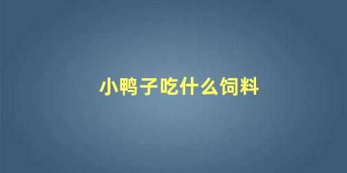 小鸭子吃什么饲料 小鸭子喂多少饲料