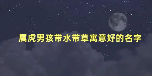 属虎男孩带水带草寓意好的名字