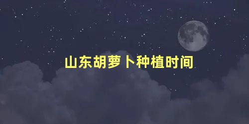 山东胡萝卜种植时间 胡萝卜种子什么时候收获