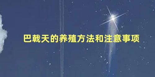 巴戟天的养殖方法和注意事项 巴戟天泡水喝