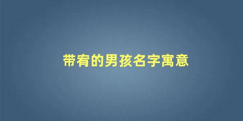 带宥的男孩名字寓意