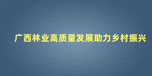 广西林业高质量发展助力乡村振兴