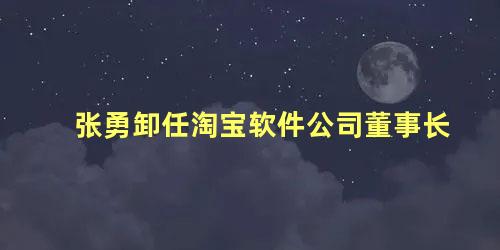 张勇卸任淘宝软件公司董事长