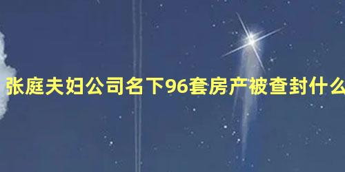 张庭夫妇公司名下96套房产被查封什么情况