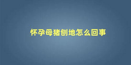 怀孕母猪刨地怎么回事 怎么知道母猪配种成功