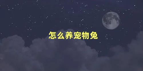 怎么养宠物兔 宠物兔认识主人吗